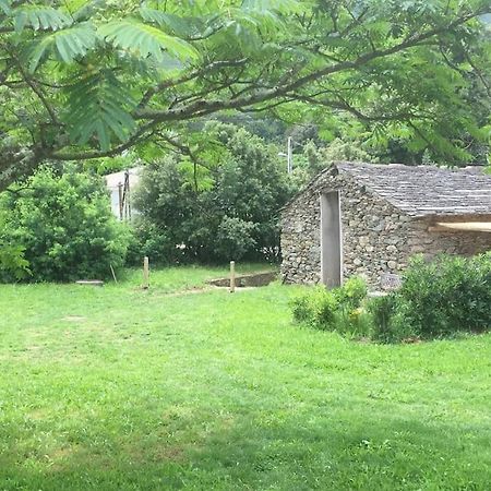 Olivetu Villa Sisco Exterior photo